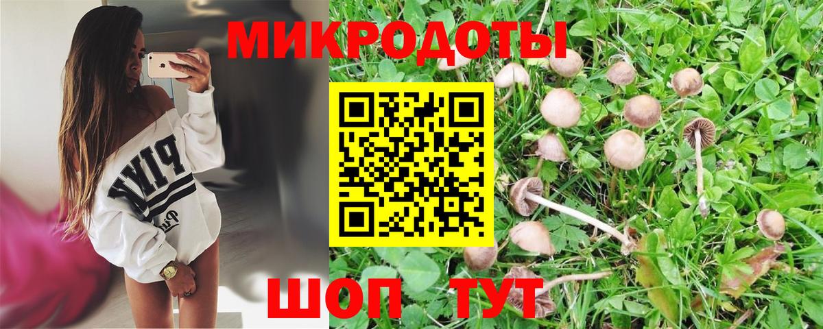 Псилоцибиновые грибы ЛСД Кушва