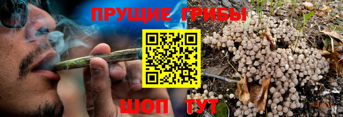 Кушва  Псилоцибиновые грибы Psilocybine cubensis  Псилоцибиновые грибы Magic Shrooms  Вход с VPN 